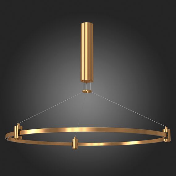 ST025.213.00 Шинопровод-кольцо FARM с подвесами и основанием под блок питания ST-Luce Золотистый FARM, изображение 2