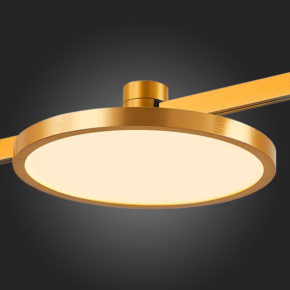 ST818.206.12 Магнитный трековый светильник FARM Золотистый LED 1*10W 3000K 520Lm Ra80 120 IP20 D168x FARM, изображение 2