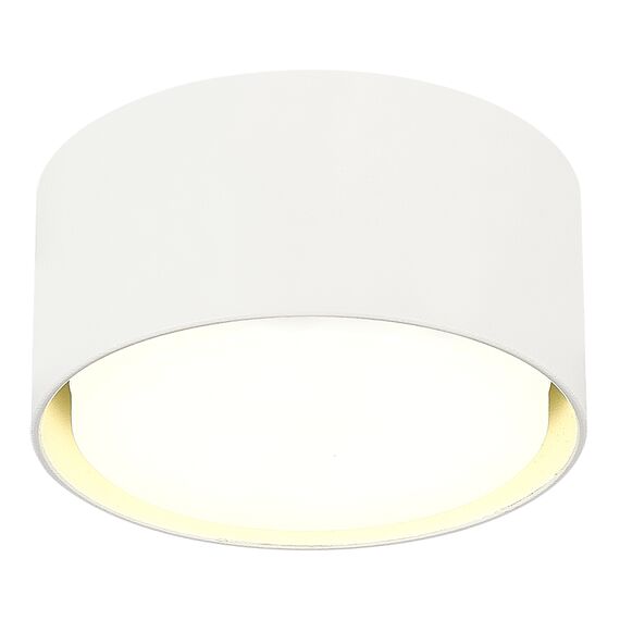 ST164.502.01 Светильник потолочный Белый GX53 1*50W IP20 D85xH40 220V Без ламп Накладные светильники