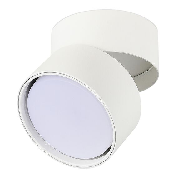 ST651.502.01 Светильник потолочный Белый GX53 1*50W IP20 D85xH77 220V Без ламп Накладные светильники, изображение 2