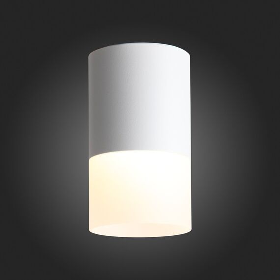 ST100.502.10 Светильник потолочный Белый LED 1*10W 3000K 780Lm Ra>80 120° D78xH135 170-240V Накладные светильники, изображение 2