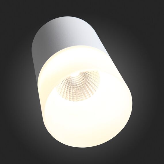 ST100.502.15 Светильник потолочный Белый LED 1*15W 3000K 1 170Lm Ra>80 120° D118xH150 170-240V Накладные светильники, изображение 8