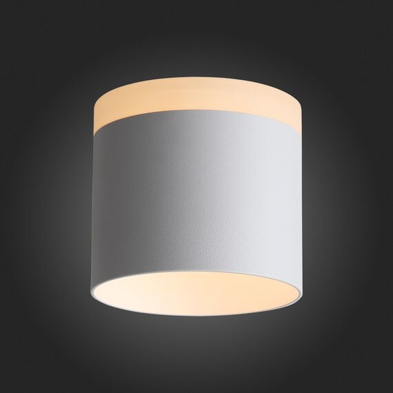 ST102.502.12 Светильник потолочный Белый LED 1*12W 3000K 936Lm Ra>80 120° IP20 D100xH90 170-240V Накладные светильники, изображение 2