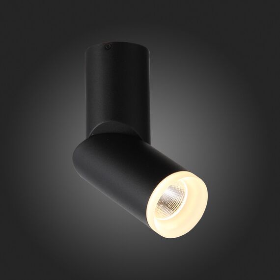 ST107.402.10 Светильник потолочный Черный LED 1*10W 3000K 780Lm Ra>80 24 D50xH168 170-240V Накладные светильники, изображение 2