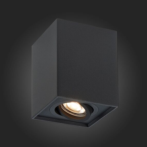 ST109.407.01 Светильник потолочный Черный GU10 1*50W  L100xW100xH123 220V Без ламп Накладные светильники, изображение 2
