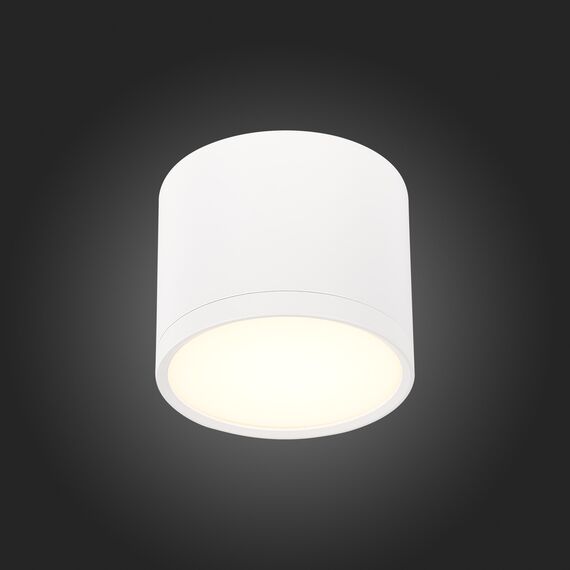 ST113.532.09 Светильник потолочный Белый LED 1*9W 3000K 702Lm Ra>90 120° IP20 D88xH75 170-240V Накладные светильники, изображение 2