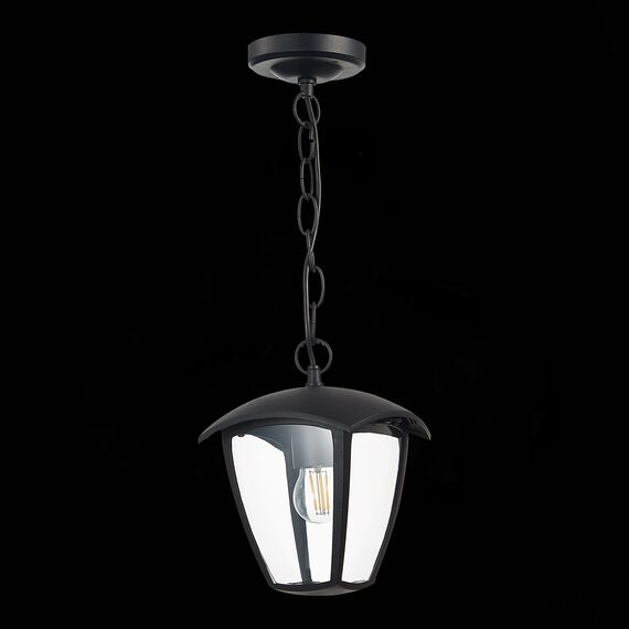 SL081.403.01 Светильник уличный подвесной ST-Luce Черный/Черный, Прозрачный E27 1*40W SIVINO, изображение 4
