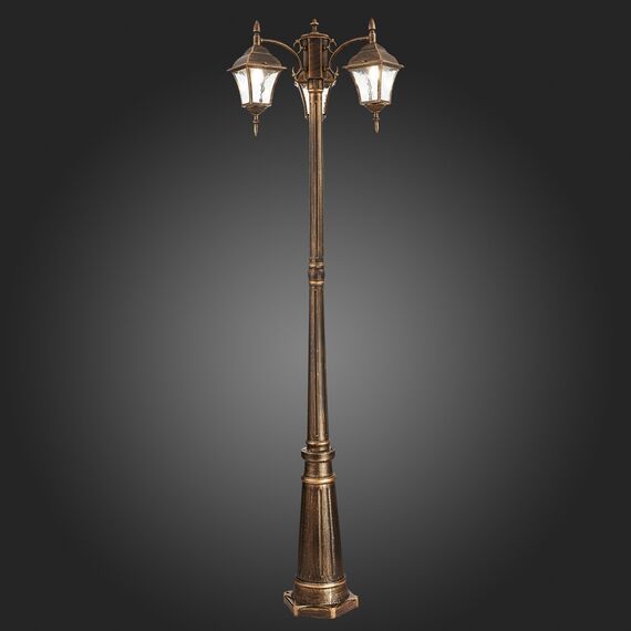 SL082.205.03 Светильник уличный наземный ST-Luce Бронза/Бронза, Прозрачный E27 3*60W DOMENICO, изображение 2