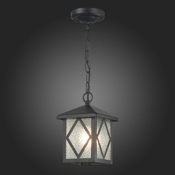 SL084.403.01 Светильник уличный подвесной ST-Luce Черный/Черный, Прозрачный E27 1*60W LORNE, изображение 2