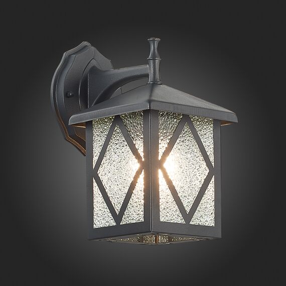 SL084.411.01 Светильник уличный настенный ST-Luce Черный/Черный, Прозрачный E27 1*60W LORNE, изображение 2