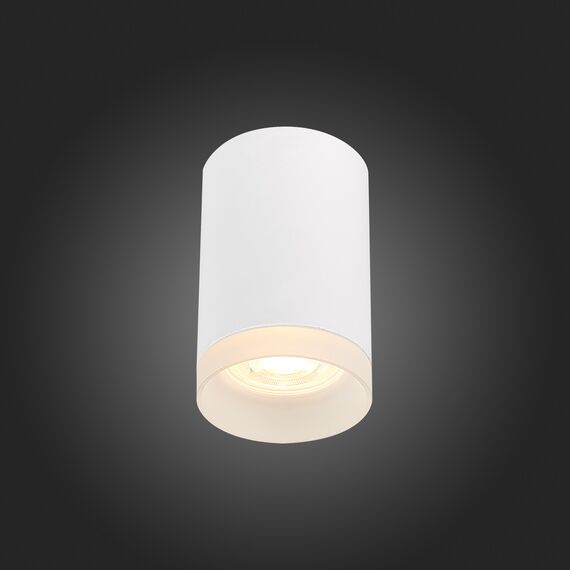 ST100.502.01 Светильник потолочный Белый GU10 1*50W IP20 D64xH99 220V Без ламп Накладные светильники, изображение 2