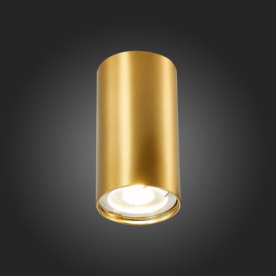 ST110.207.01 Светильник потолочный Золотистый GU10 1*50W  IP20 D54xH100 220V Без ламп Накладные светильники, изображение 2