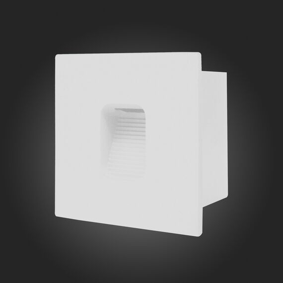 SL9501.541.01 Светильник уличный настенный ST-Luce Белый LED 1*1W 4000K VISANO, изображение 2