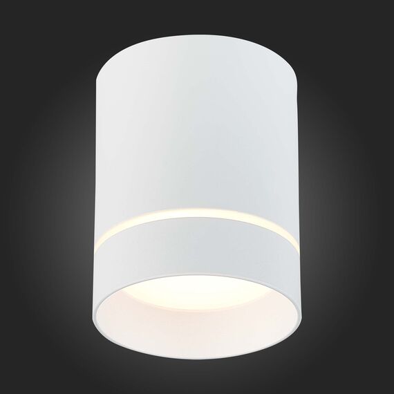ST115.532.12 Светильник потолочный Белый LED 1*12W 3000K 840Lm Ra>90 120° IP20 D79xH100 170-240V Накладные светильники, изображение 2