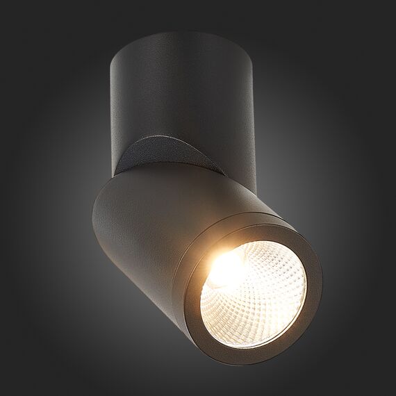 ST650.432.10 Светильник потолочный Черный LED 1*10W 3000K 800Lm Ra>90 38° IP44 D62xH151 165-265V Накладные светильники, изображение 2