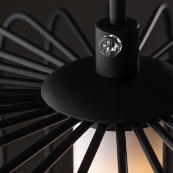 Подвесной светильник Freya FR6131PL-L13B, изображение 5