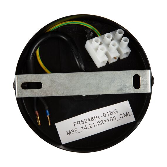 Подвесной светильник Freya FR5248PL-01BG, изображение 3