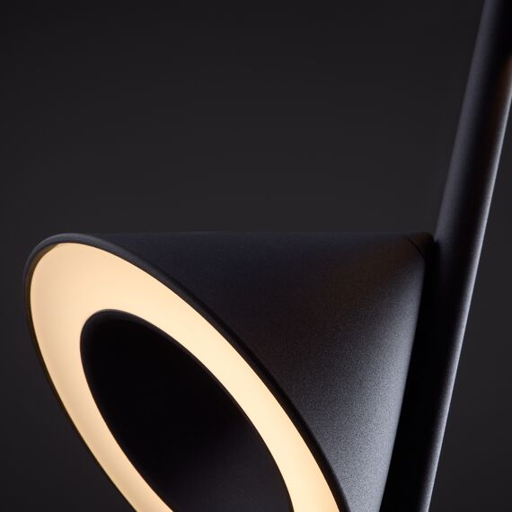 Подвесной светильник Freya FR6141PL-L14B, изображение 3