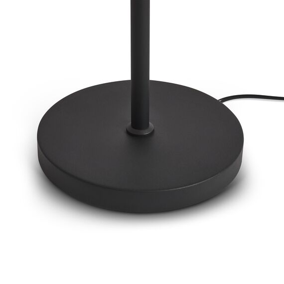 Напольный светильник (торшер) Freya FR5553FL-L20B, изображение 16