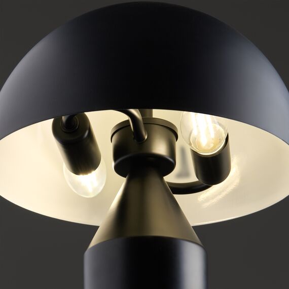 Настольный светильник Freya FR5218TL-02B1, изображение 4