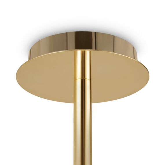 Потолочный светильник Freya FR1010CL-06G, изображение 6