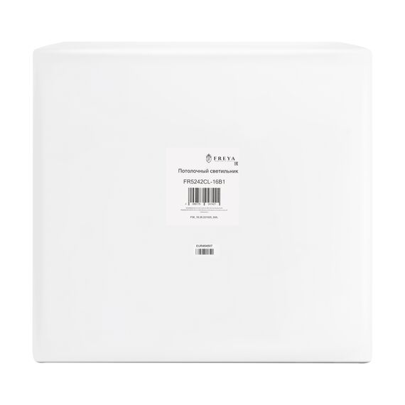 Потолочный светильник Freya FR5242CL-16B1, изображение 12