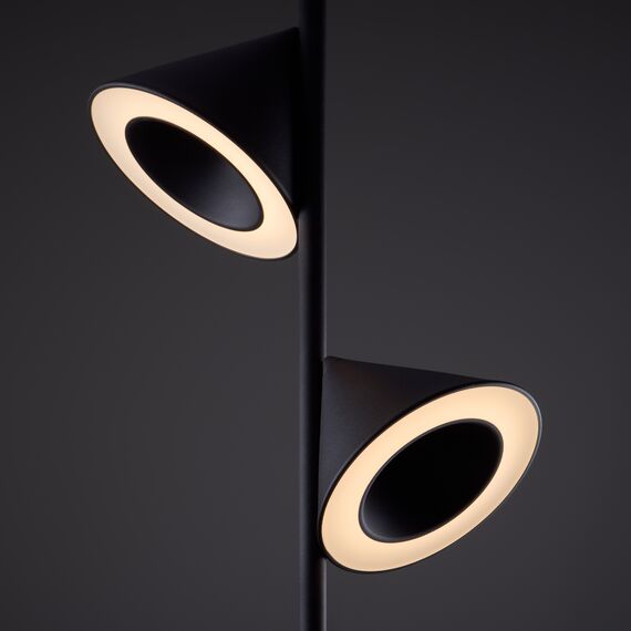 Напольный светильник (торшер) Freya FR6141FL-L14B, изображение 3