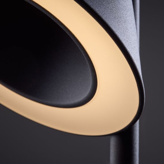 Настольный светильник Freya FR6141TL-L7B, изображение 5