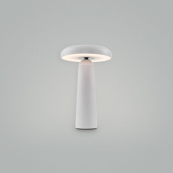 Аккумуляторный светильник Freya FR6109TL-L4W, изображение 5