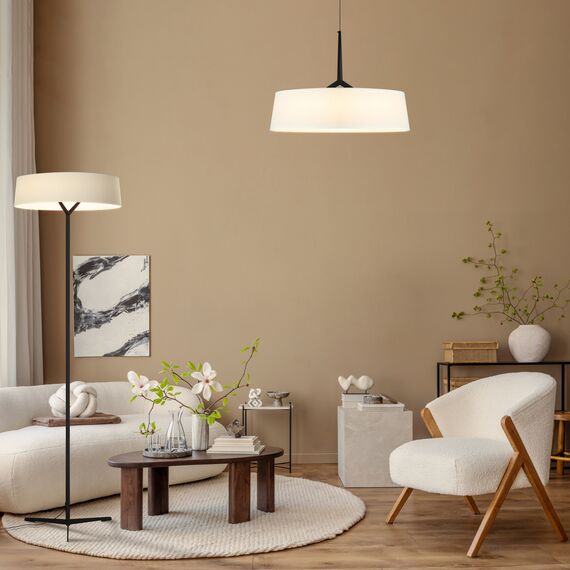 Подвесной светильник Freya FR6132PL-L15B, изображение 2