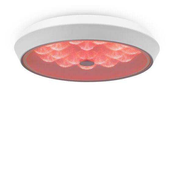 Потолочный светильник Freya FR10012CL-L24W, изображение 6