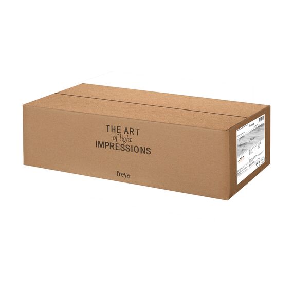 Потолочный светильник Freya FR5101-CL-04-CN, изображение 4