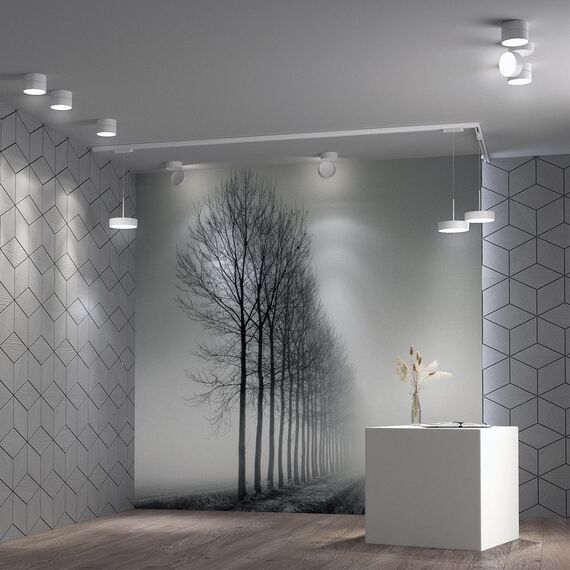 358749 OVER NT21 355 белый Светильник накладной светодиодный IP20 LED 24W 4000K 2100Лм 100-265V PROMETA, изображение 3