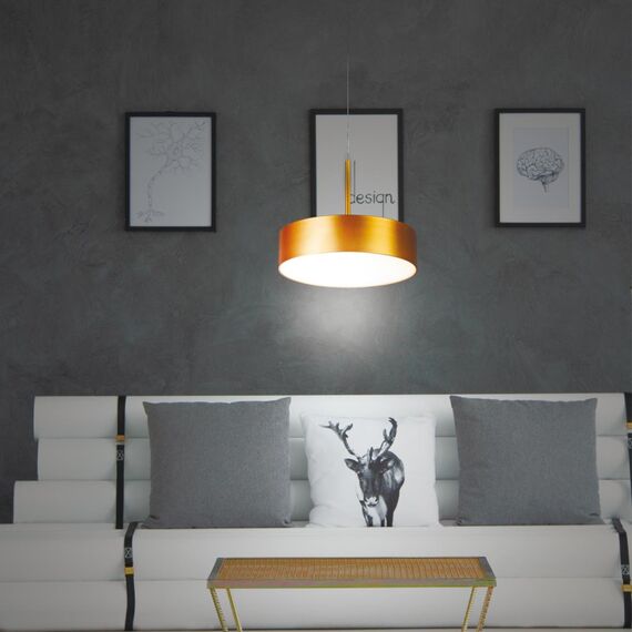 358766 SPOT NT21 448 матовое золото Светильник встраиваемый светодиодный, длина провода 2м IP20 LED 30W 4000K 2600Лм 100-265V PROMETA, изображение 3