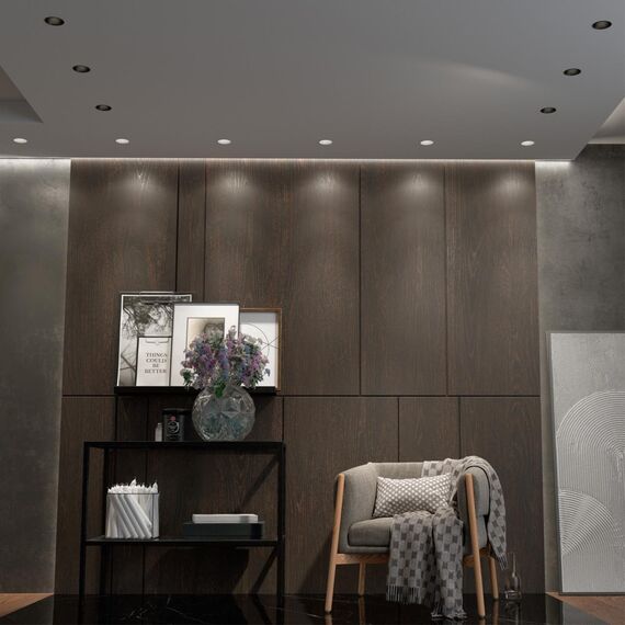 358909 SPOT NT22 442 черный Встраиваемый светодиодный светильник с переключателем цветовой температуры IP20 LED 3000К\4000К\6000К 12W 220V LANG, изображение 3