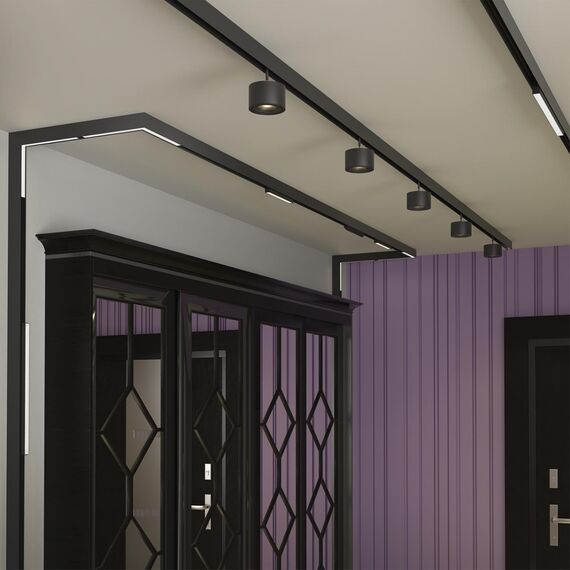 358915 SHINO NT22 067 черный Трековый светильник для низков.шинопровода диммируемый с пультом ДУ со сменой цв.температуры IP20 LED 3000~6500К 24W 48V, изображение 3