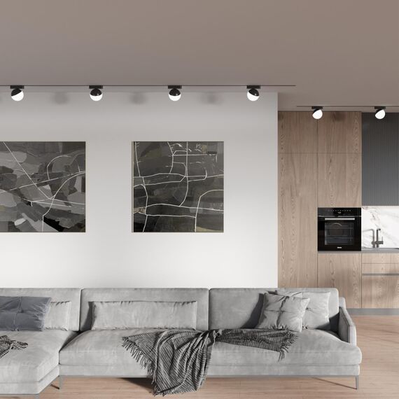 359262 SHINO NT23 189 черный Трековый светильник для низковольтного шинопровода IP20 LED 10W 48V 800Лм 3000К SMAL, изображение 3