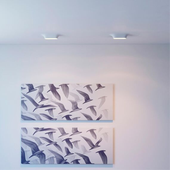 370496 SPOT NT19 554 белый Встраиваемый под покраску светильник IP20 GU10 2*50W 220V CAIL, изображение 3