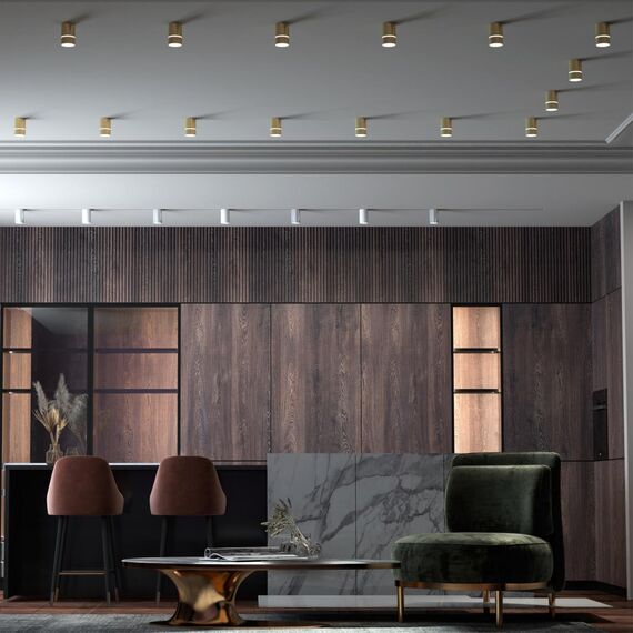 370734 OVER NT21 424 золото Светильник накладной IP20 GU10 9W 235V ELINA, изображение 3