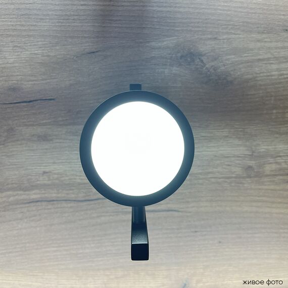 Бра Crystal Lux CLT 027W V2 BL, изображение 6