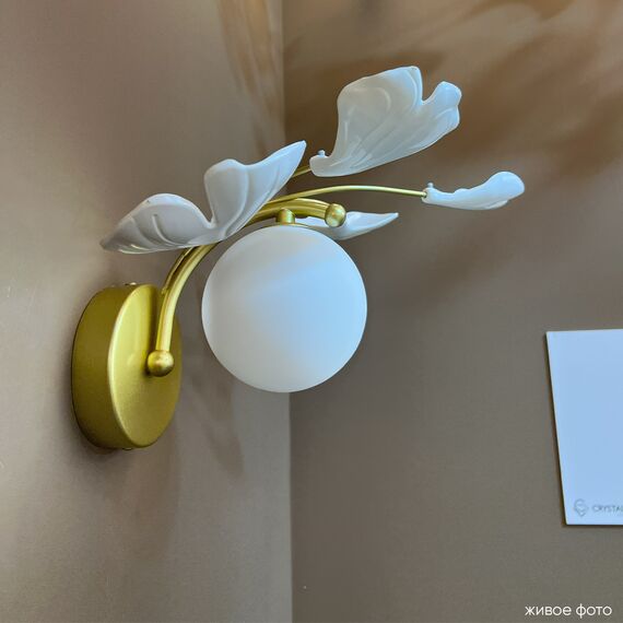 Бра Crystal Lux COLIBRI AP1 GOLD, изображение 3