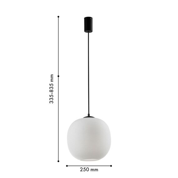 4259-1P, подвес, D250xH335/1835, 1xE27x40W, excluded, изображение 2