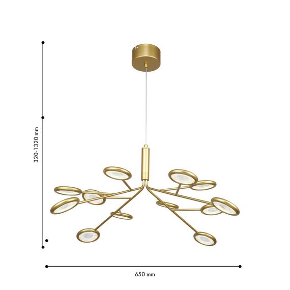 4253-12P, подвесная/потолочная люстра, D650xH320/1320, 12xLEDx3W, 3060LM, 4000K, included, изображение 4