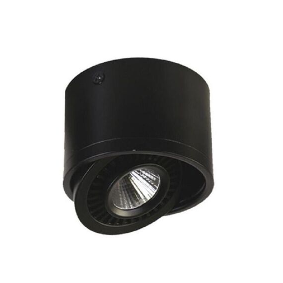 1778-1C, потолочный светильник, D87xH60, 1xLEDx7W, AC:100-240V, 560LM, RA>80, IP21, 560LM, 4000K, included, изображение 2