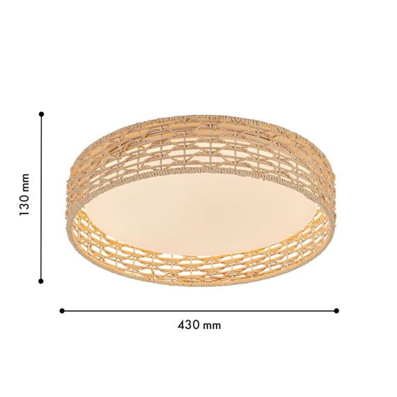 4749-4C, Потолочный светильник, D430xH100, LEDx25W, 1300LM, 3000/4000/6000K, included, remote control, изображение 3