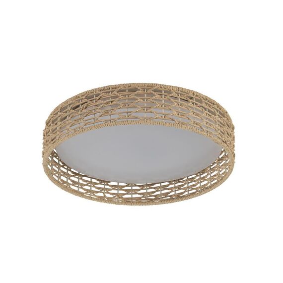 4749-4C, Потолочный светильник, D430xH100, LEDx25W, 1300LM, 3000/4000/6000K, included, remote control, изображение 2