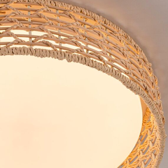 4749-4C, Потолочный светильник, D430xH100, LEDx25W, 1300LM, 3000/4000/6000K, included, remote control, изображение 5