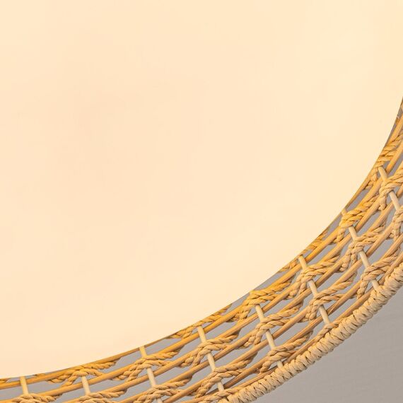 4749-4C, Потолочный светильник, D430xH100, LEDx25W, 1300LM, 3000/4000/6000K, included, remote control, изображение 6