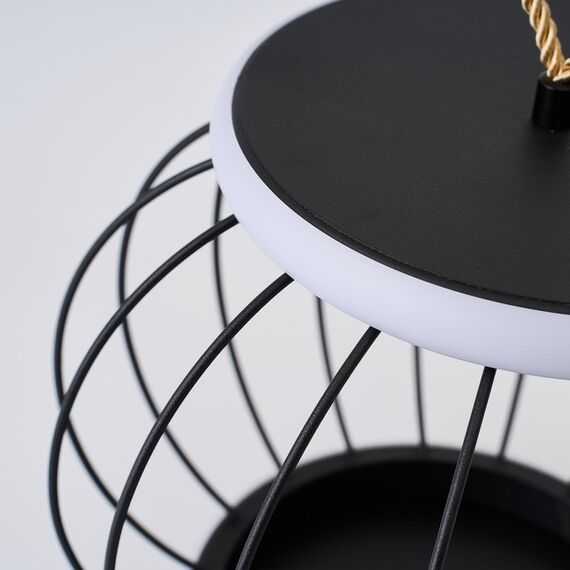 4435-2T, настольный светильник, D250xH250, LEDx12W, 1200LM, 3000-6000K, included, switch, изображение 4