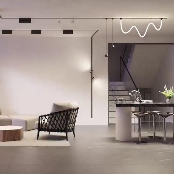 4231-1U, трековый светильник, D130xH160, LEDx8W, 42V, 550LM, 3000-6000K, CRI>90, included, изображение 5